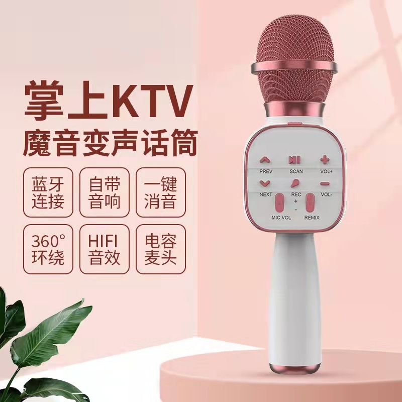 DS813话筒音响一体家用无线蓝牙麦克风全民k歌宝K歌蓝牙5.3|undefined