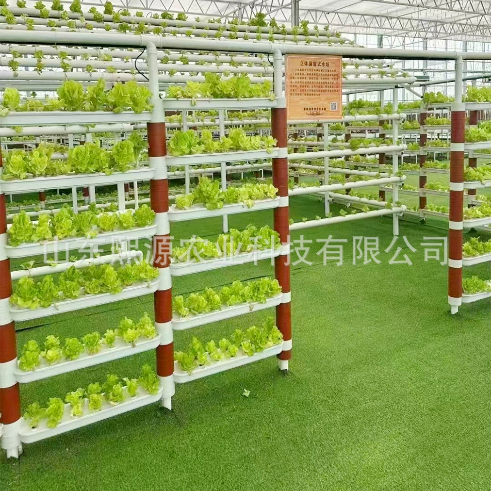 Three-dimensional Hydroponic Plant Wall System, 85×23×12 cm, soilless leafy-vegetable rack
