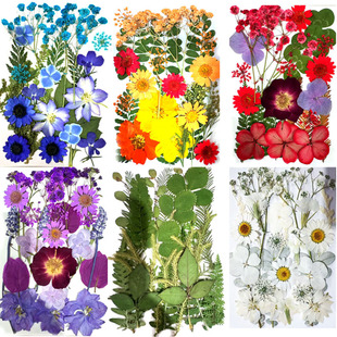 �ɻ��������ϰ� ���~ֲ��˱�Ѻ��DIY���ĵ��z̨���֙C���bɻ�