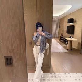 南油女装26春夏季薄款慵懒风长袖衬衫腊肠狗刺绣韩系蓝色格子