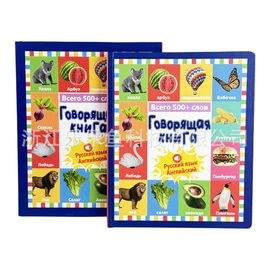 有声挂图;其他益智玩具;学习/早教机