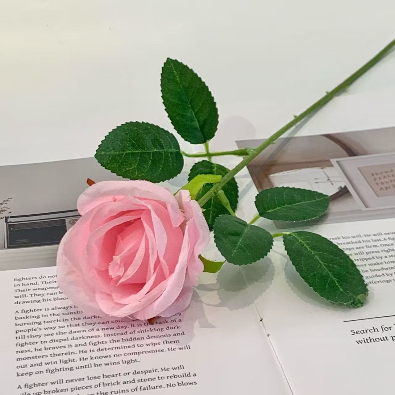 Rosa