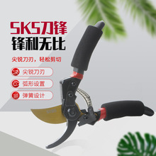 �����Ӻ�SK5䓘�֦��@ˇ������֦����֦����� ��֦�h����֦����