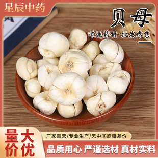 ��ș����ؐ��ؐĸؐĸ����ؐĸƬ���NҎ��