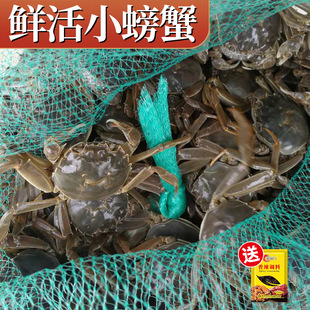 ���lз��з�r��С�з��зëз����зʳ�ľW��з�����S��з�W�tз