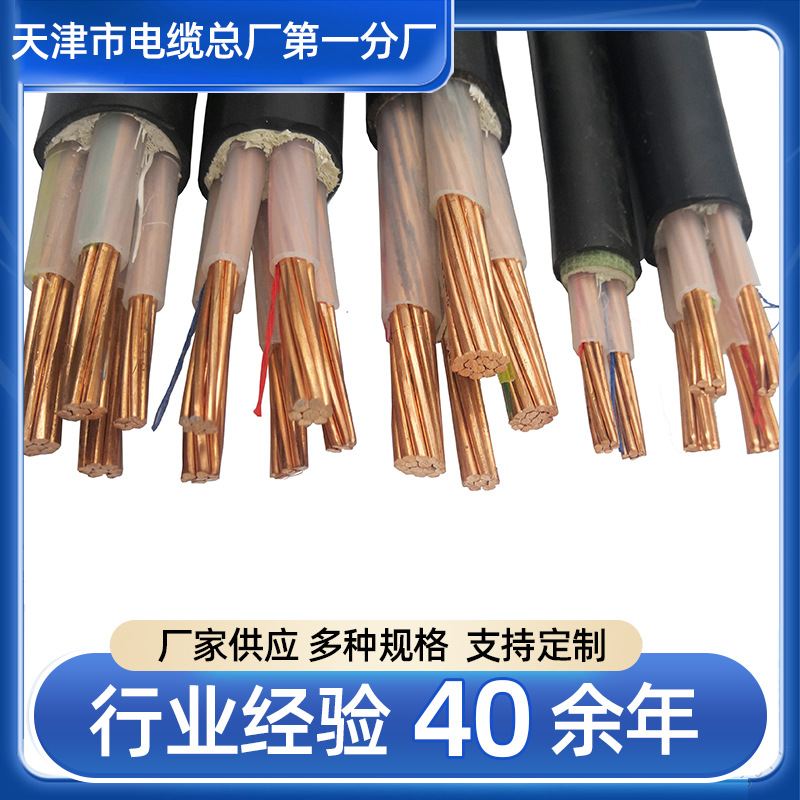 天联 RS485铠装通讯电缆 RS485-22 1X2X1.0 无氧铜通讯线厂家批发