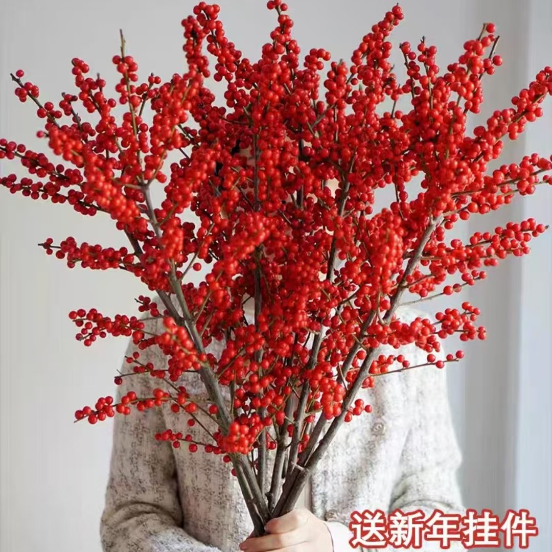 精品进口北美冬青鲜切枝水培植物鲜花束红果水养室内年宵花卉真花