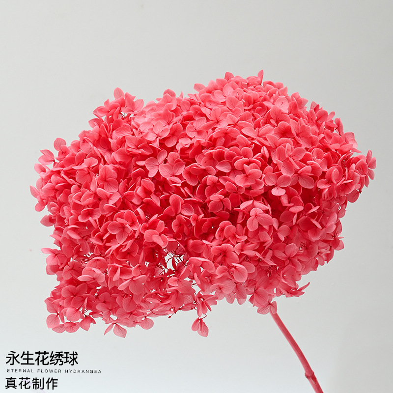 Cubo de bendición de Año Nuevo, cubo de abrazos, cubo de flores, granada artificial, acebo, hojas doradas, cubo de flores de bendición de Año Nuevo, materiales DIY, fruta de la fortuna.