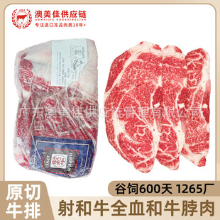 �������ţȫѪ��ţ����M9+ԭ��ţ�Ż�偿���1265�nʽ��ʽ���l