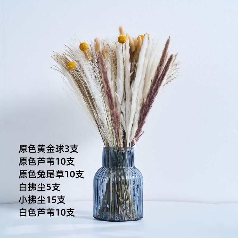 アマゾンはよく売れています。葦の花の花束です。|undefined