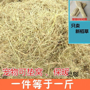 Natural Dried Straw Bedding for Rabbits, Winter Straw Doghouse, Chicken Pet Nest, Natural Dry Rice Straw, Wheat Straw, Grass