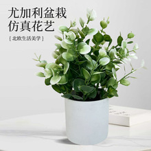 �����ȼ������Կ羳���컨���ϻ����k�����͏d�[���Gֲ���R�d���N