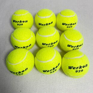 WERKON�����������K929�ߏ���ɢ�b�W���ʹ�Ӗ�����w���n���þW��