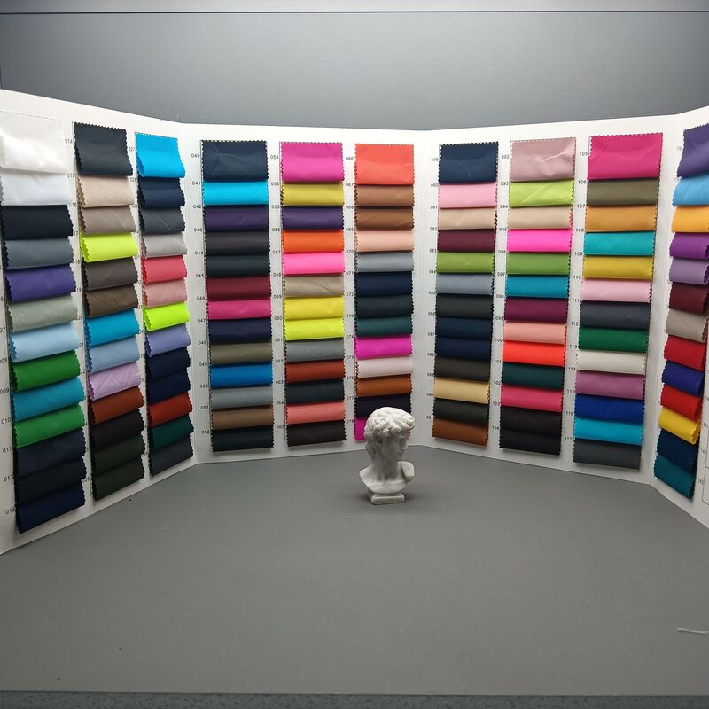 40D Plain 300t Dinning Nylon Fabric Strong Breathable Sleeping Bag Hammock Kite Down Jacket Fabric