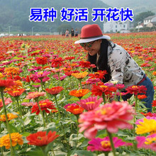 ����ͥԺ�ļ��_���׻�Ѱ��ղ�·߅С�^�G�����N�ѻ��ݷN���ͺ�