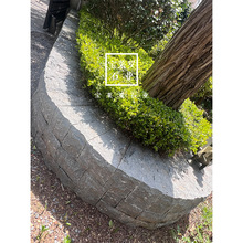 ֥  Iʯ   Ȼʯ ʯ  ͥԺʯ