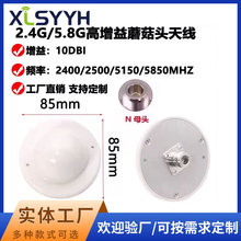 2.4G/5.8G(10DBI)Ģ���^�������쾀·�����W���������Nĸ�^�쾀