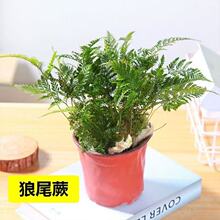 ��βާ���_ާ��צާ���Կ͏d�����k�����Gֲ�ͺ�����ļ��L����B