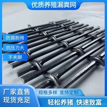 �����F�z©�S�WС�i������ĸ�i�a���W����䁵��F�z�򴲾W���\�׾W