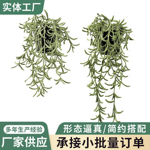 �羳���R�d����Ғ�ֲ���ָ�ܛ�z�������l��������ٗlǧ�z������