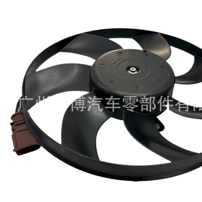 Audi, Fan