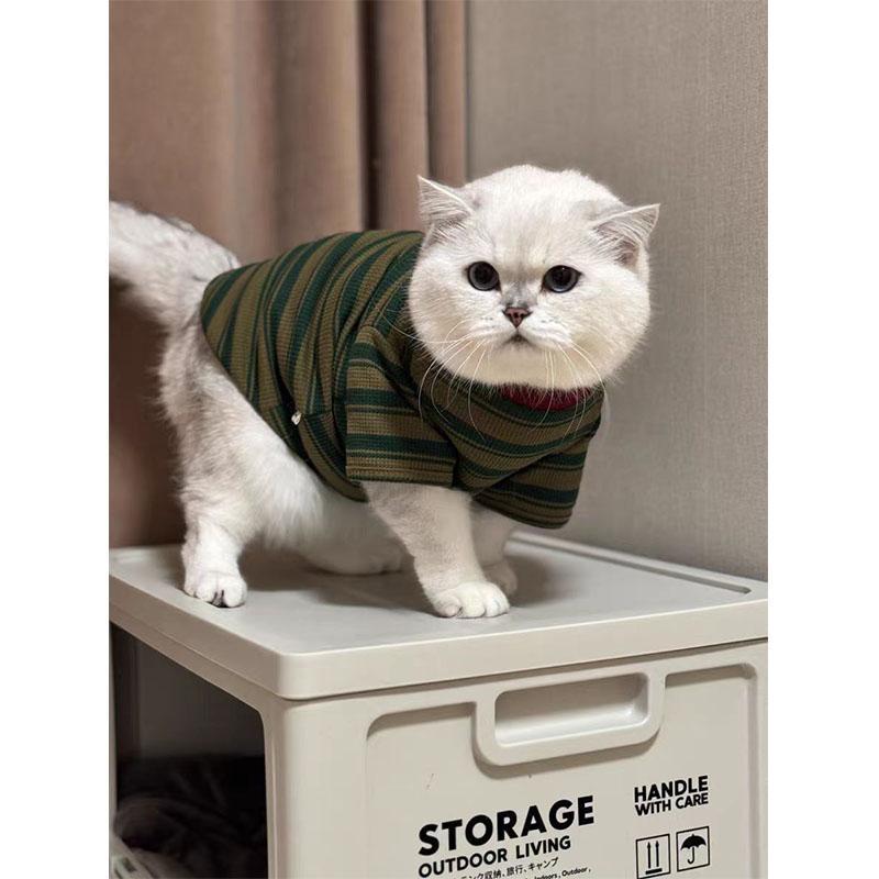 Primavera y verano delgada ropa de mascota para gatos Teddy Bear Boomerang pequeño cachorro rayas camiseta de cuello redondo