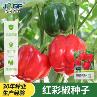 ���𽷷N��ʳ�ß��\�������t���S�𽷷N���S�a�ļ�����ͥԺ�ԷN