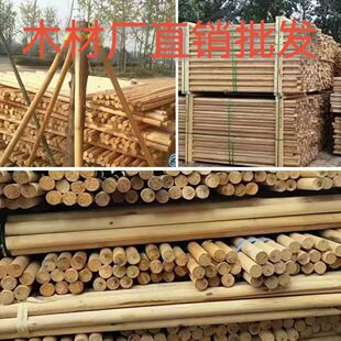 ������ľ�A����ľ��������̼���Aľɼľľ����A���Aľ�^�L�l�A��