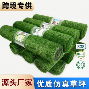 �羳���l�����ƺ�|�������������Ƥ���Q�����˹��ݵ�̺�����ƺ