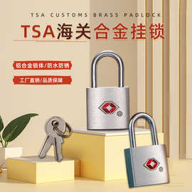 TSA海关锁箱包出国旅游行李拉链储物柜抽屉铝合金TSA海关迷你挂锁