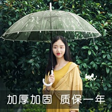 16骨透明雨伞长柄大号双人女白色网红自动的结实折叠高颜值透绠追