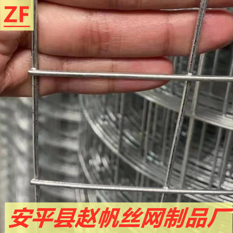 不锈钢电焊网镀锌铁丝网养殖网铁网网格片养鸡网钢丝网围栏厂家网