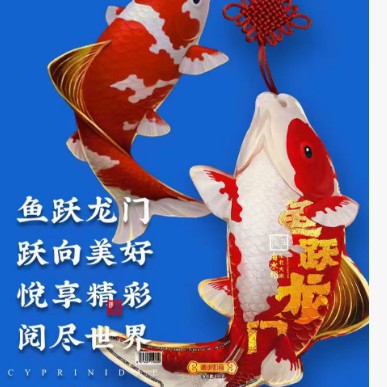 大米手提包装可提手柄彩印编织袋公斤装防水米袋