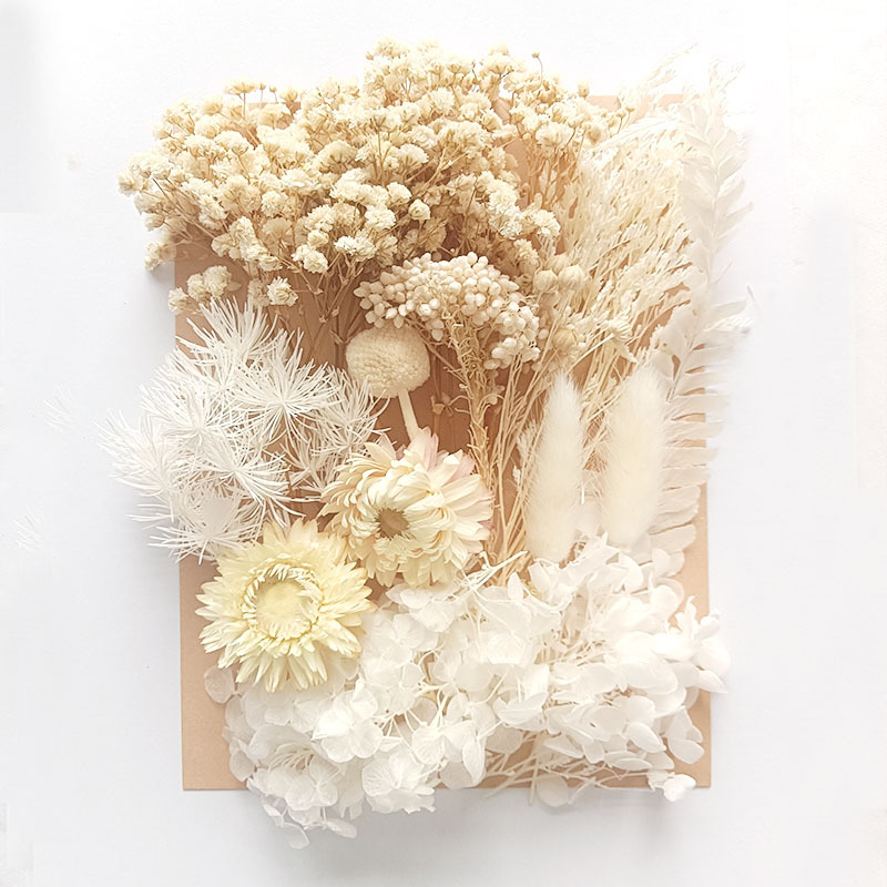 Flor seca flor eterna marco de fotos en relieve paquete de material combinación paquete de flores aromaterapia ventilador A5 bolsa de fábrica al por mayor transfronteriza