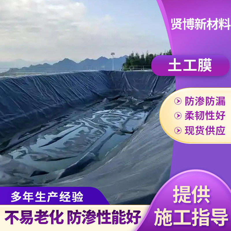 HDPE ジオメンブレン黒膜魚池養殖用トンネル埋立地浸透防止ライナーバイオガスプールジオメンブレン|undefined