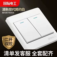 International Electrician Household Double -Open Dual -Control Switch Panel with fluorescent two -opening dual -control switch two band luminous