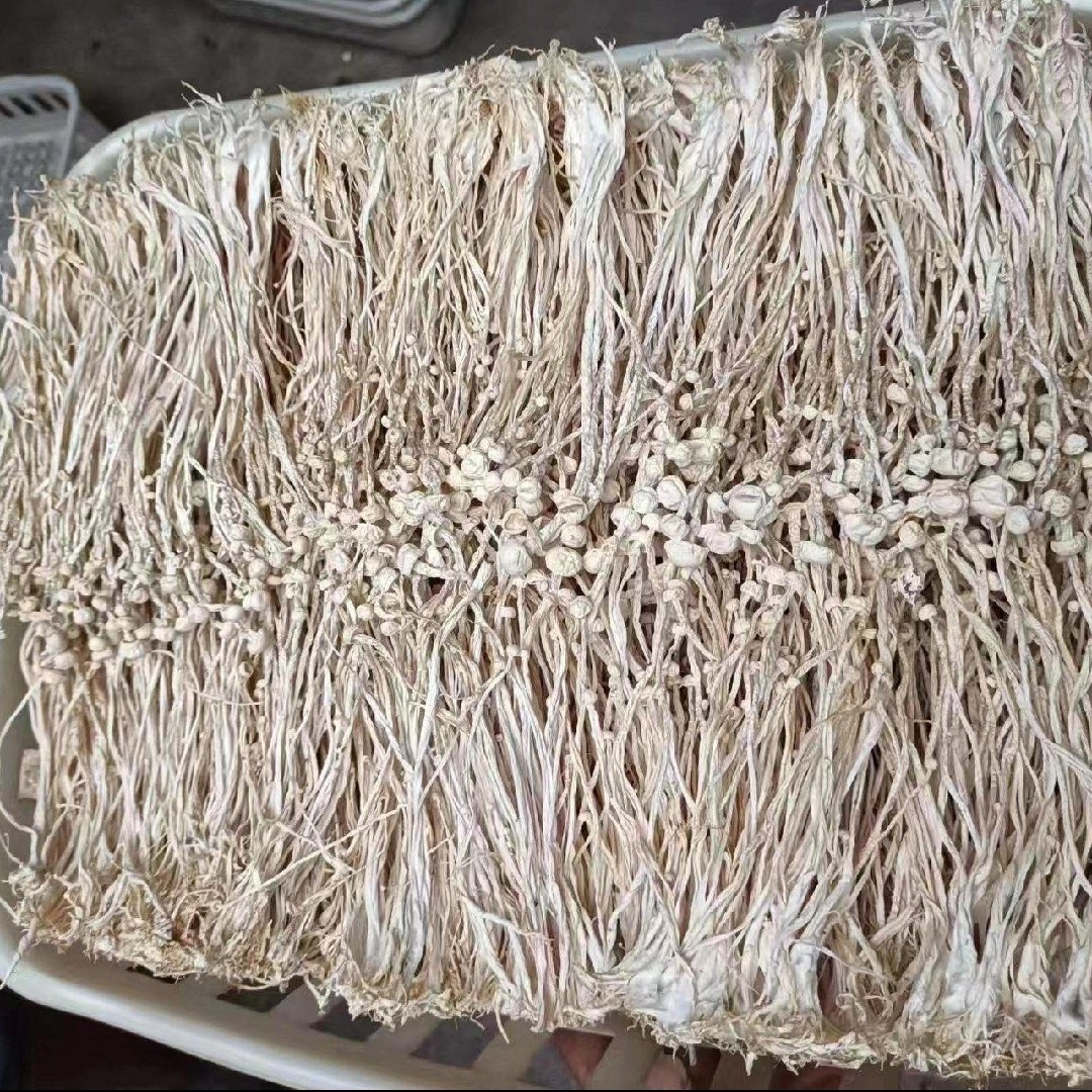 Food factory raw material supply extracted dried golden mushroom stemless dried golden mushroom cut stem dry goods