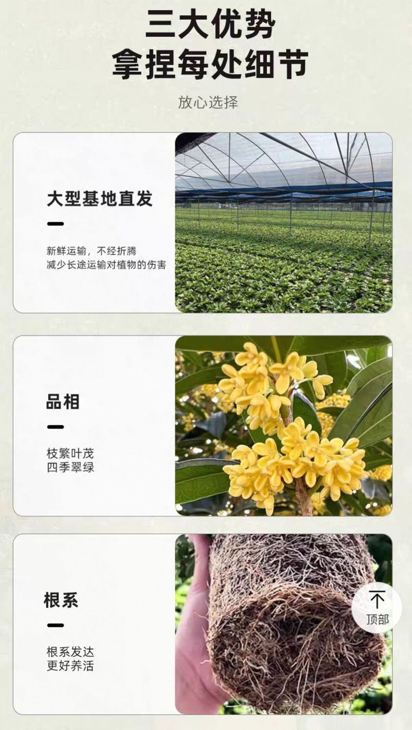 22639227-1f9a-444d-8e98-943a4437f9b0.jpe