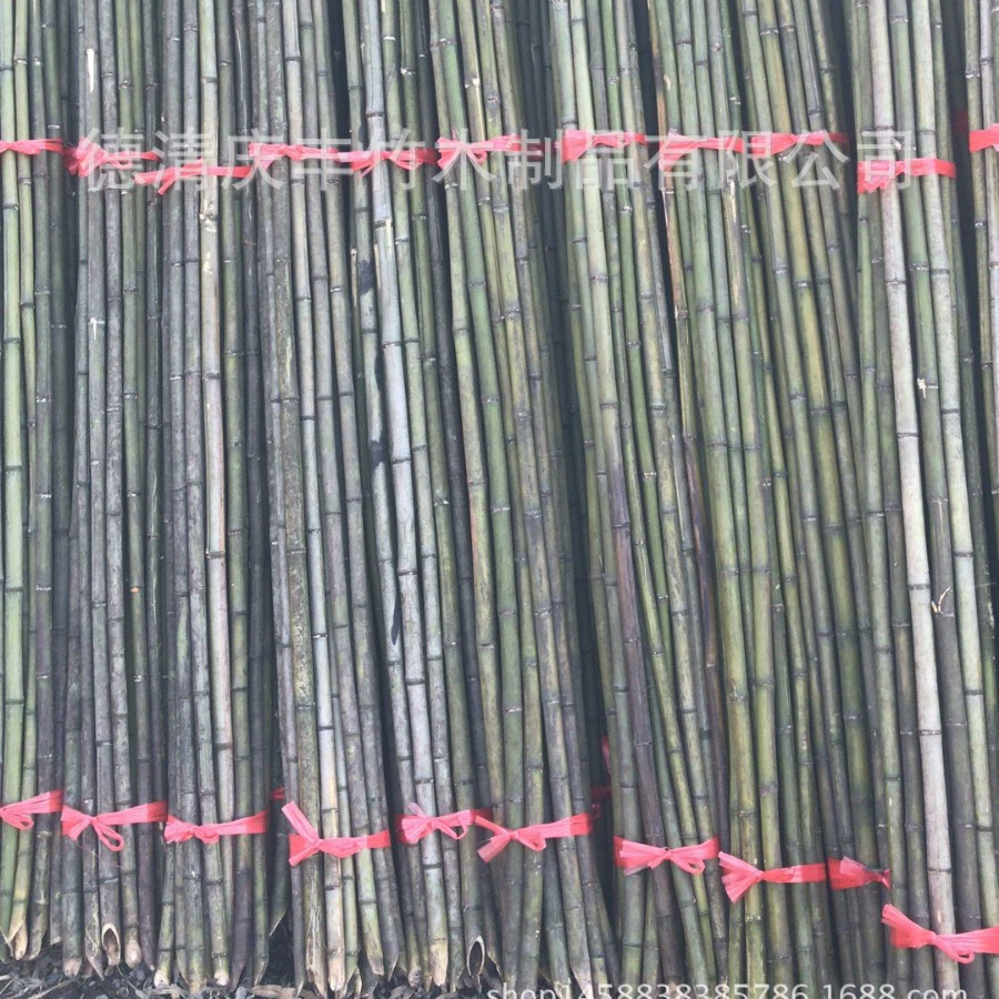 Место происхождения для продажи овощей, бамбуковая стойка, небольшая бамбуковая посадка