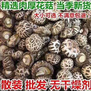 �o500g���㹽��؛�ɻ������خa���_�⻨����Ģ��������؛�r��Ⱥľ