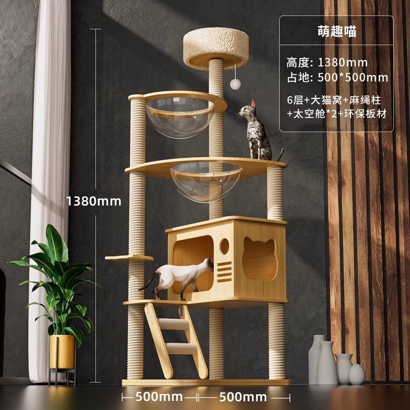 [더블캣 패밀리] 귀여운 고양이 업그레이드 버전 + 선물