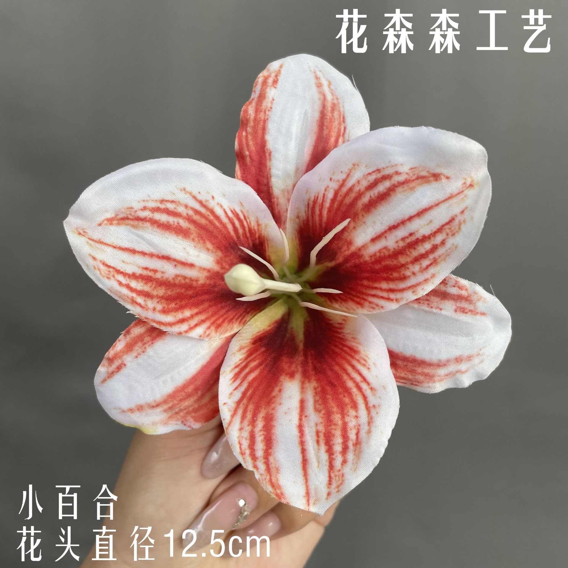 5 색