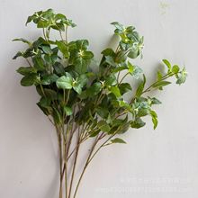 ߙnָ ~ GֲҾӼٻ҃bcl쾰zӰ