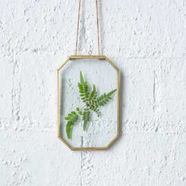八角形黄铜玻璃浮动相框带链用于艺术品照片图片压干花植物标本