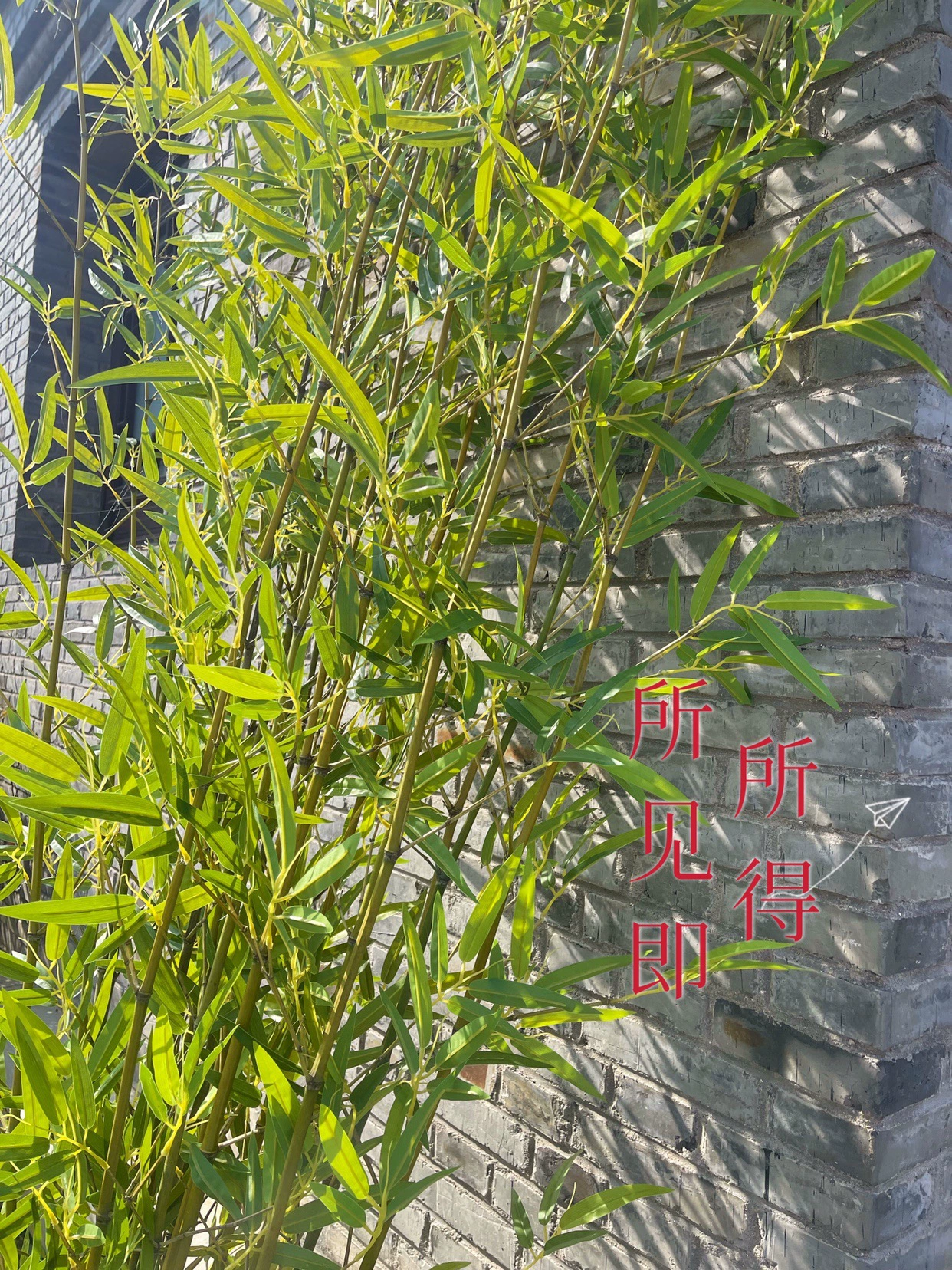 Моделирование бамбука для внутренней отделки перегородки экрана пластиковый поддельный бамбук отель открытый Мосо бамбук ландшафтная подпорная стена растительная стена