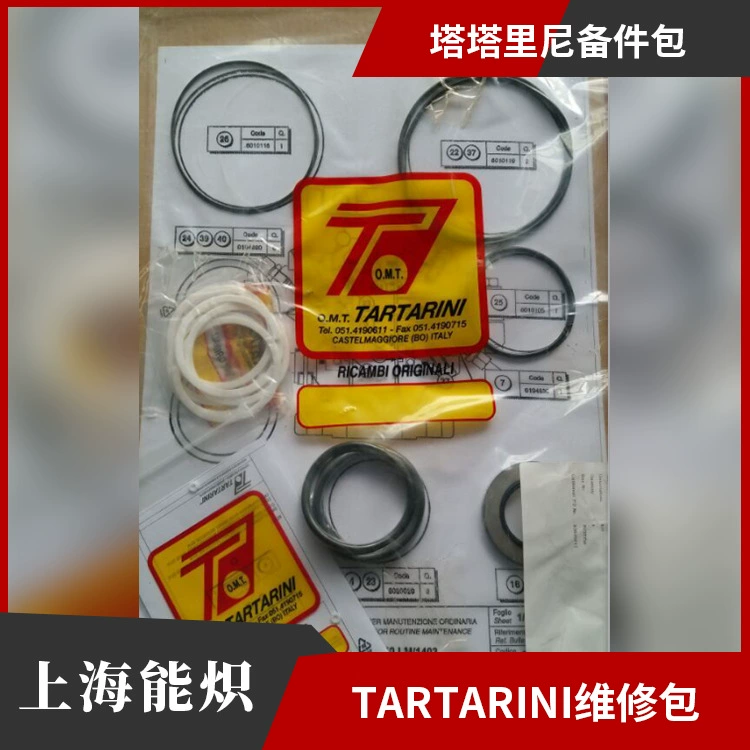 Комплект запасных частей для регулятора давления TARTARINI и запорного клапана BM5 |   Привод Татарини OS84