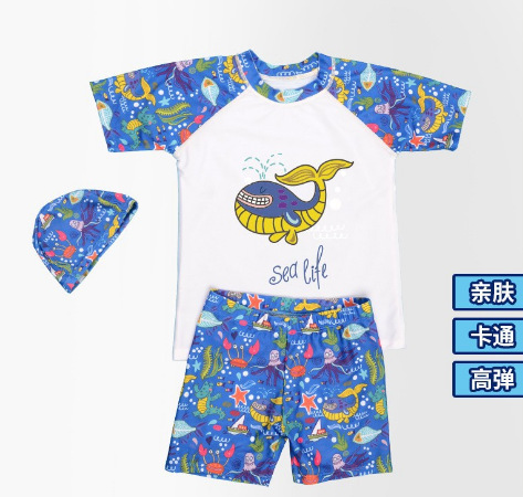 微信图片_20241217153119