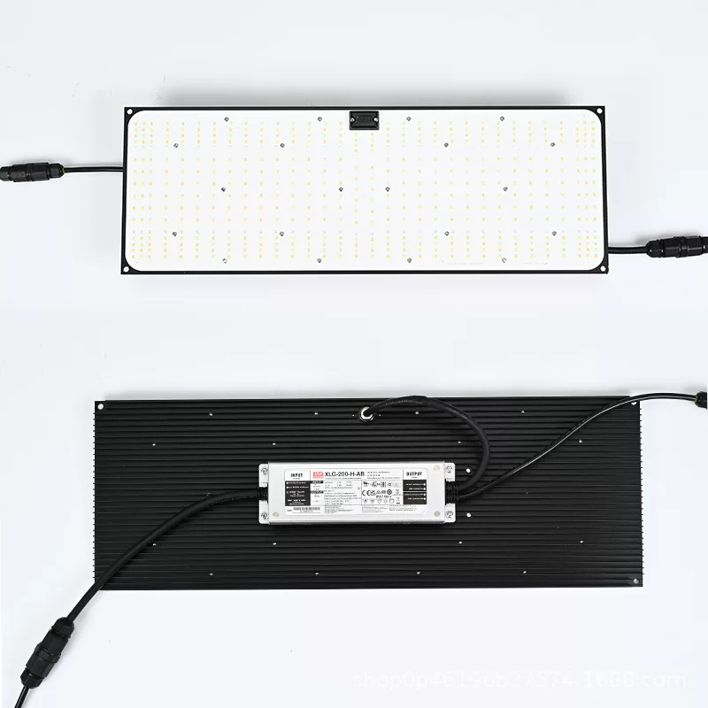 LED-лампа для растений, подсветка, квантовая лампа, 100 Вт, 200 Вт