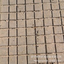 ����600���Bֳ����ţ���̲ۙC���������߿̼y�C�����ÿ̲ۙC�S��