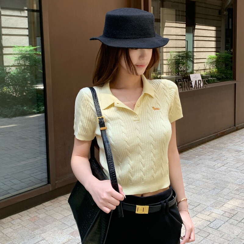 Polo领条纹薄款针织短袖女2025新款夏季轻奢高级感短款针织衫上衣|undefined